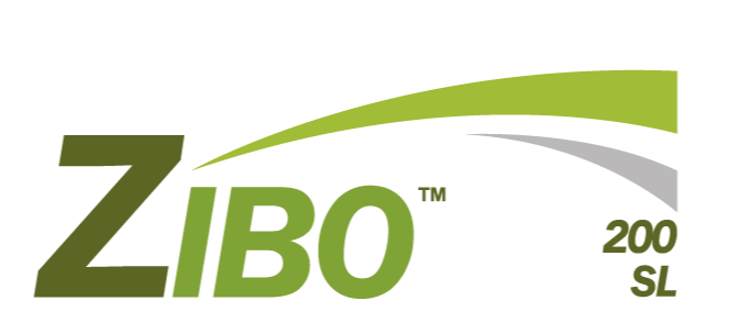 ZIBO