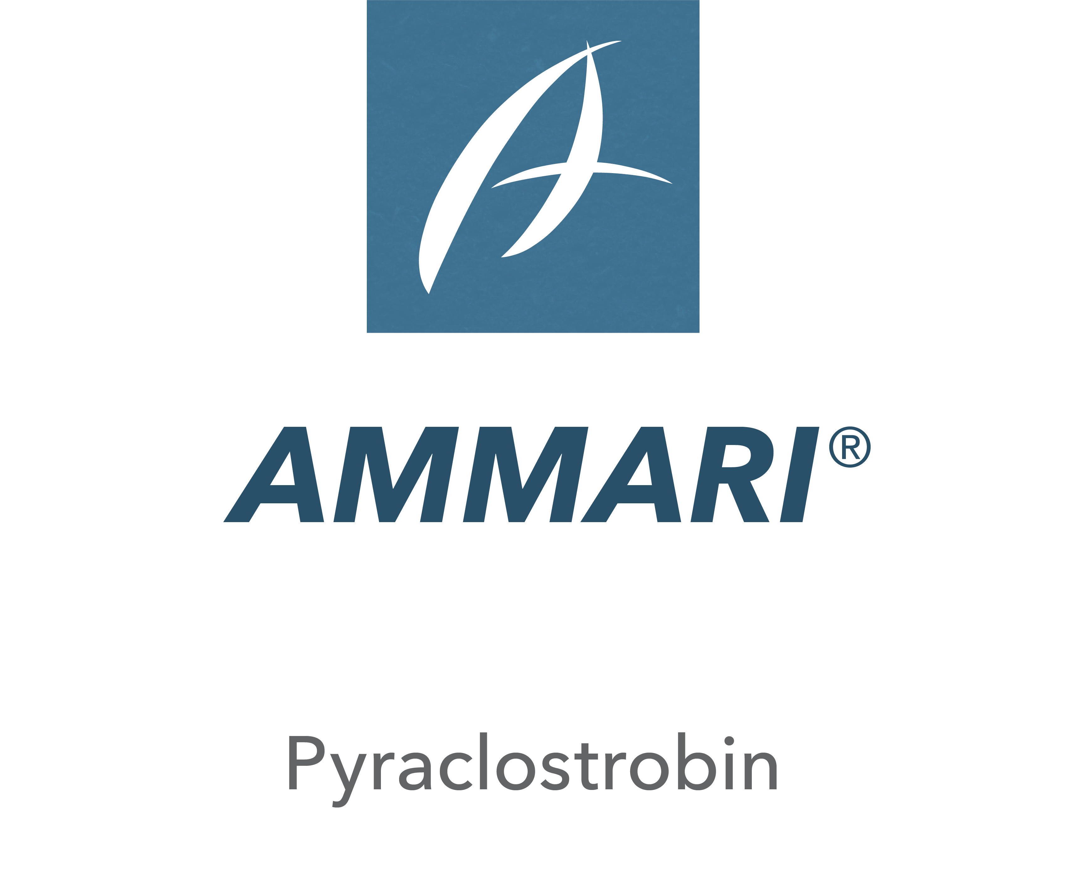 Ammari®