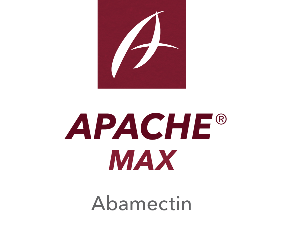 Apache® Max