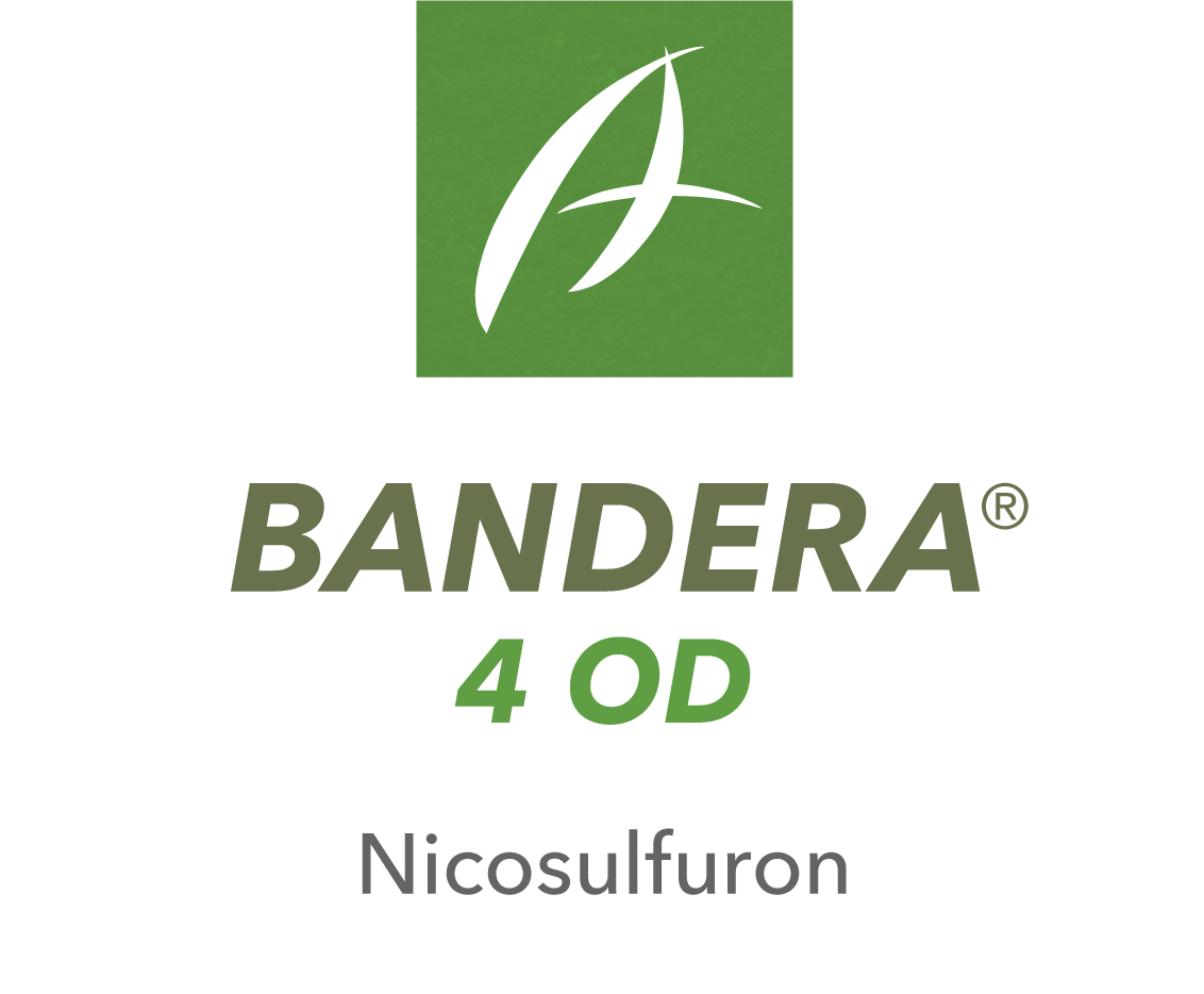 Bandera® 4 OD
