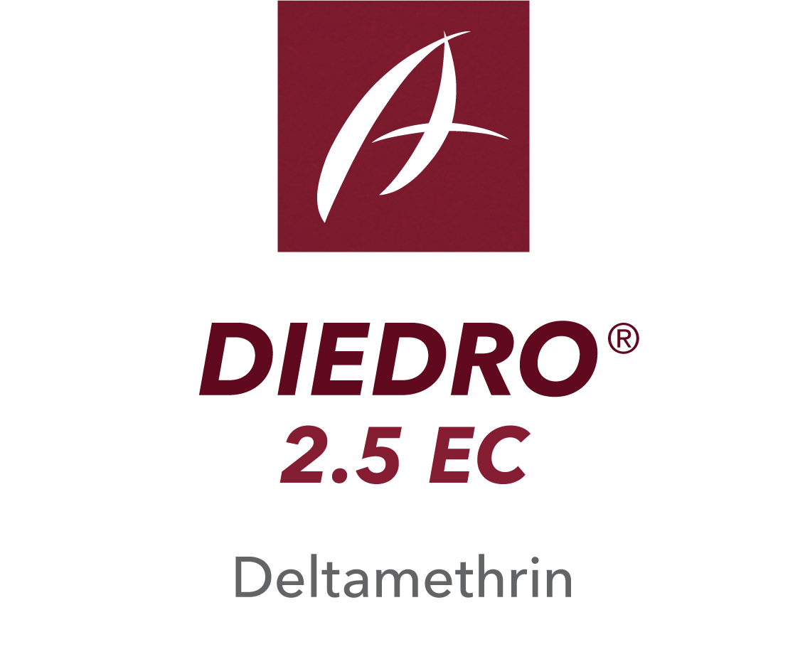 Diedro® 2.5 EC