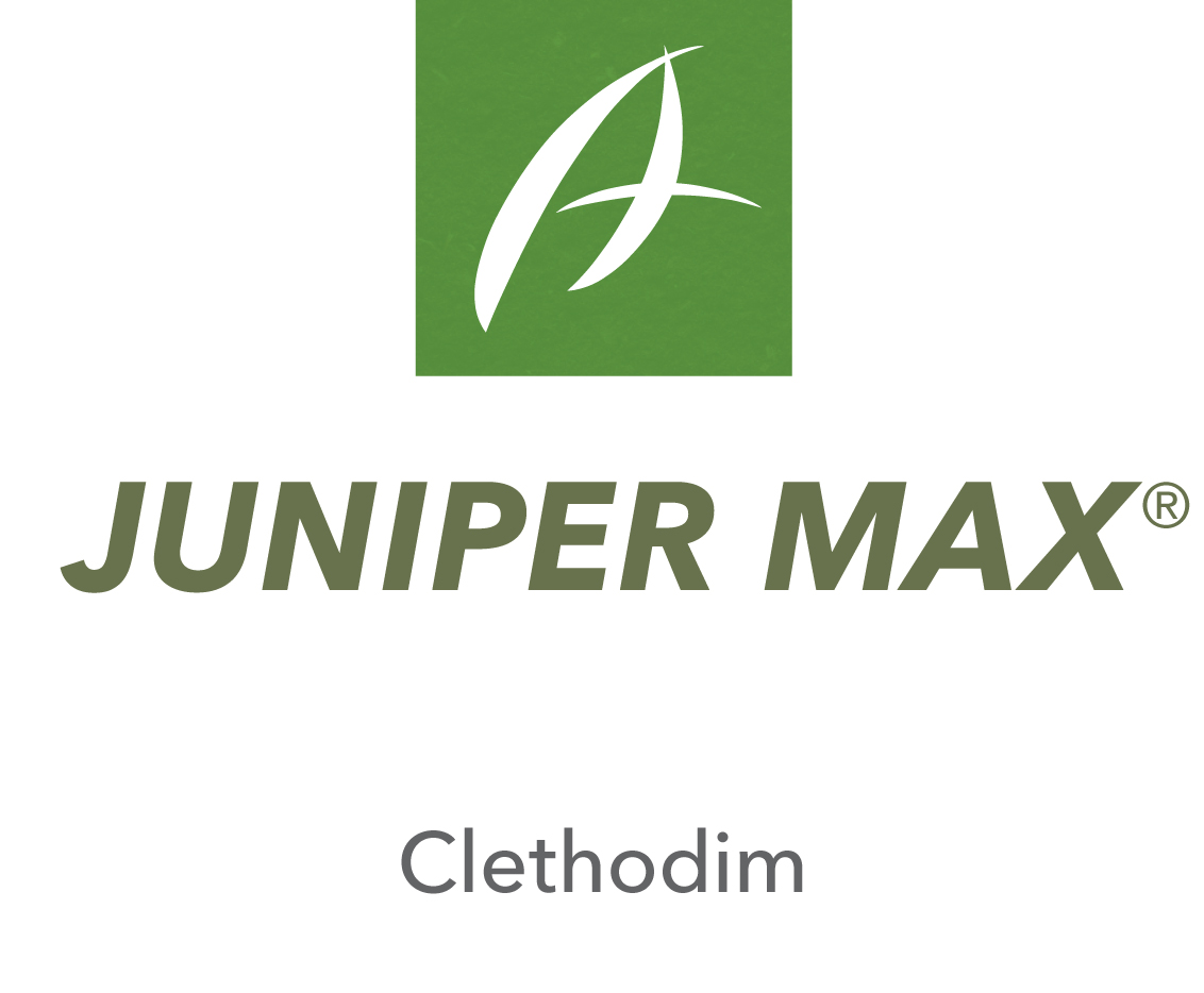 Juniper Max®