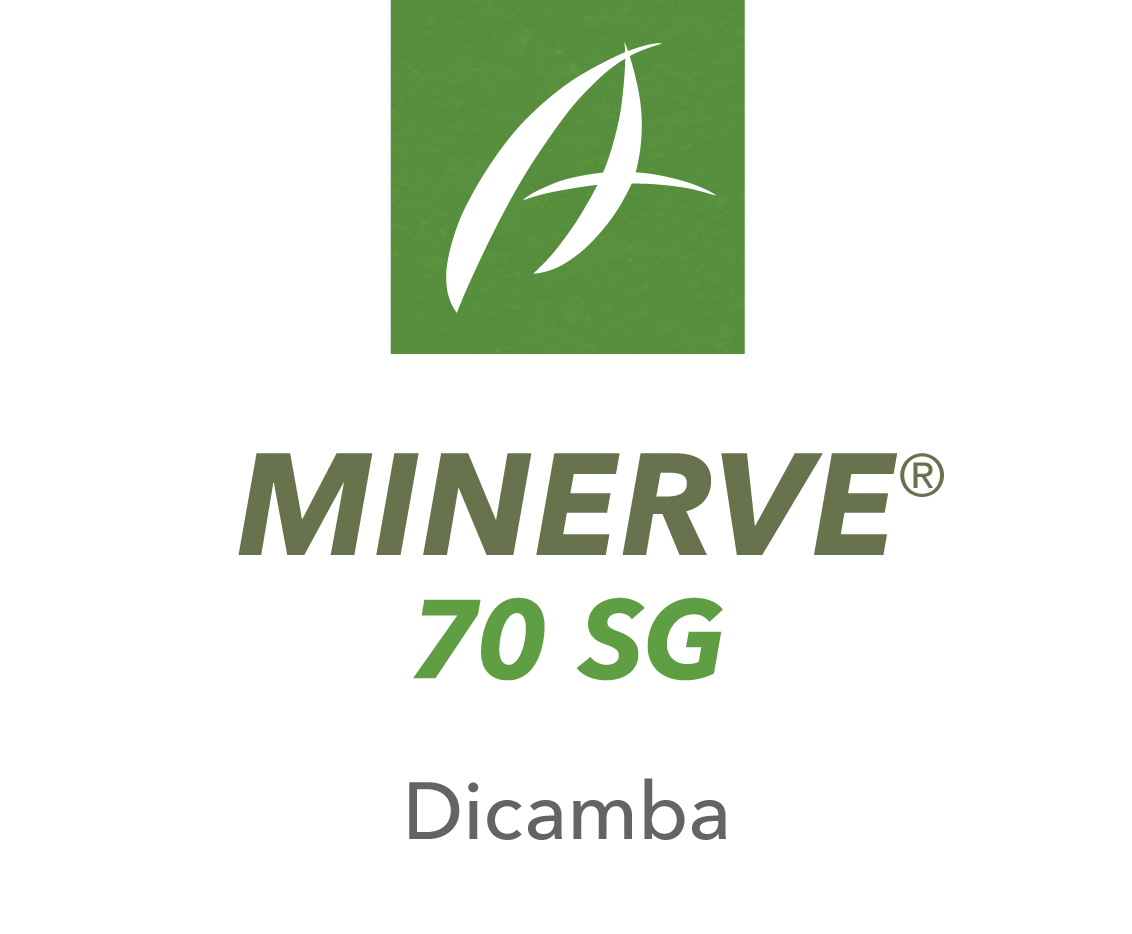 Minerve® 70 SG