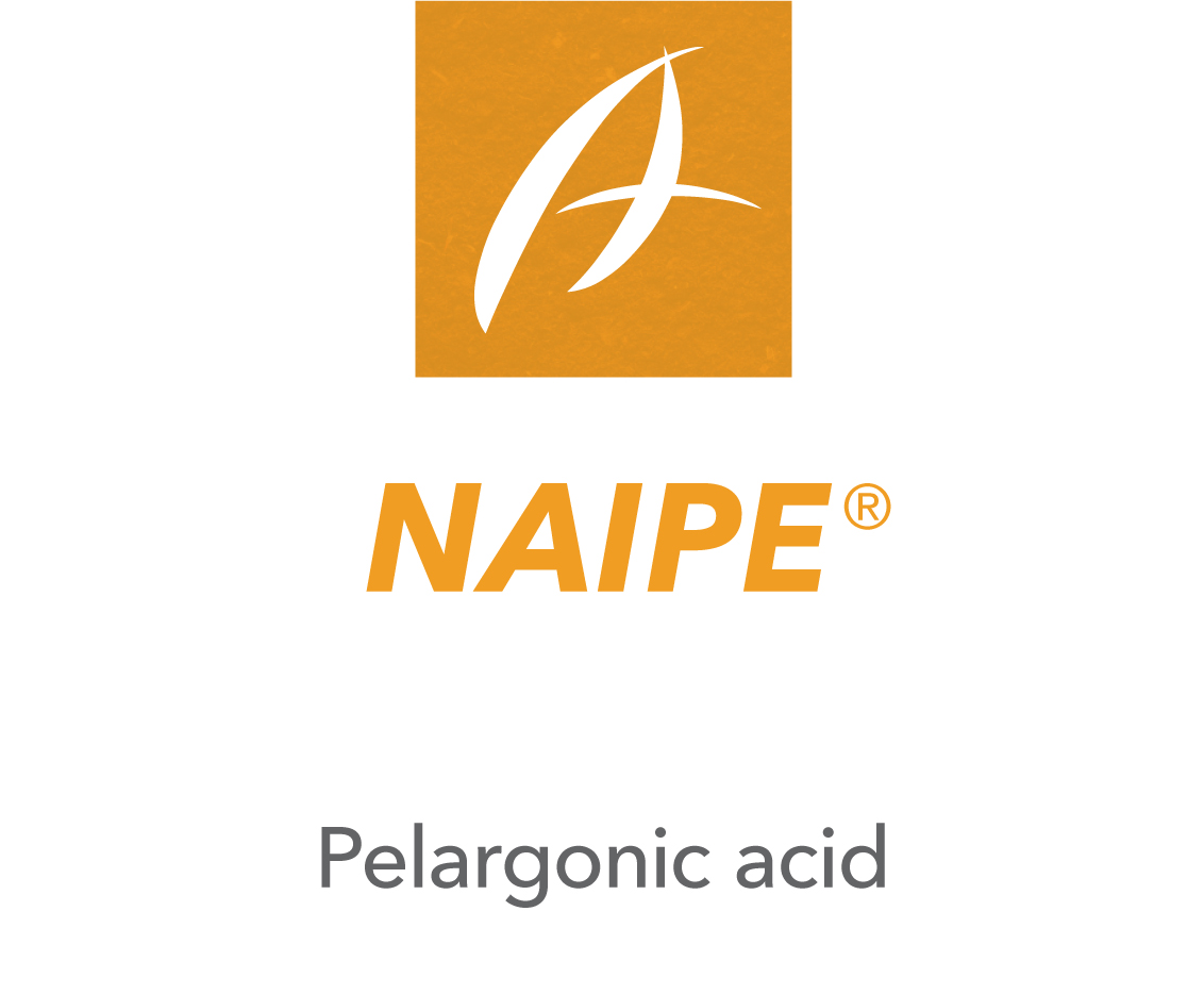 Naipe®