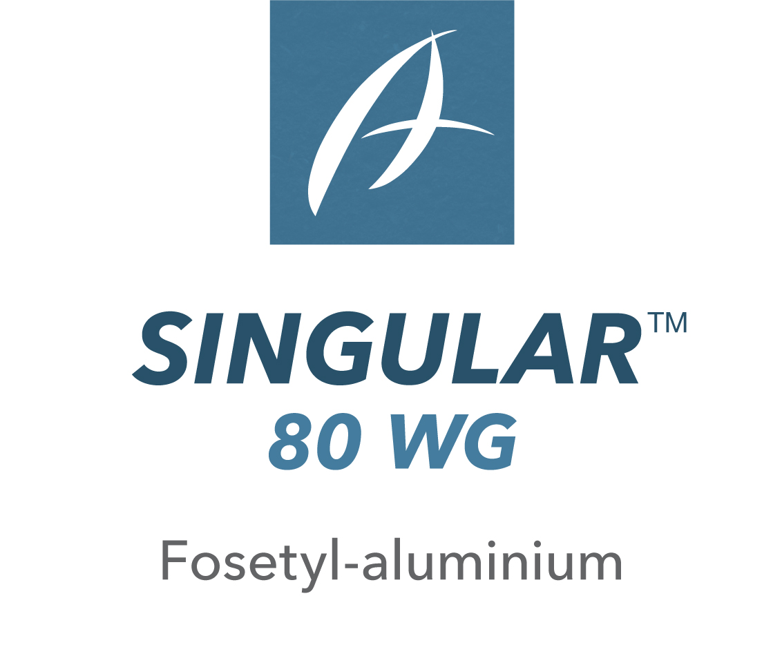Singular 80 WG™
