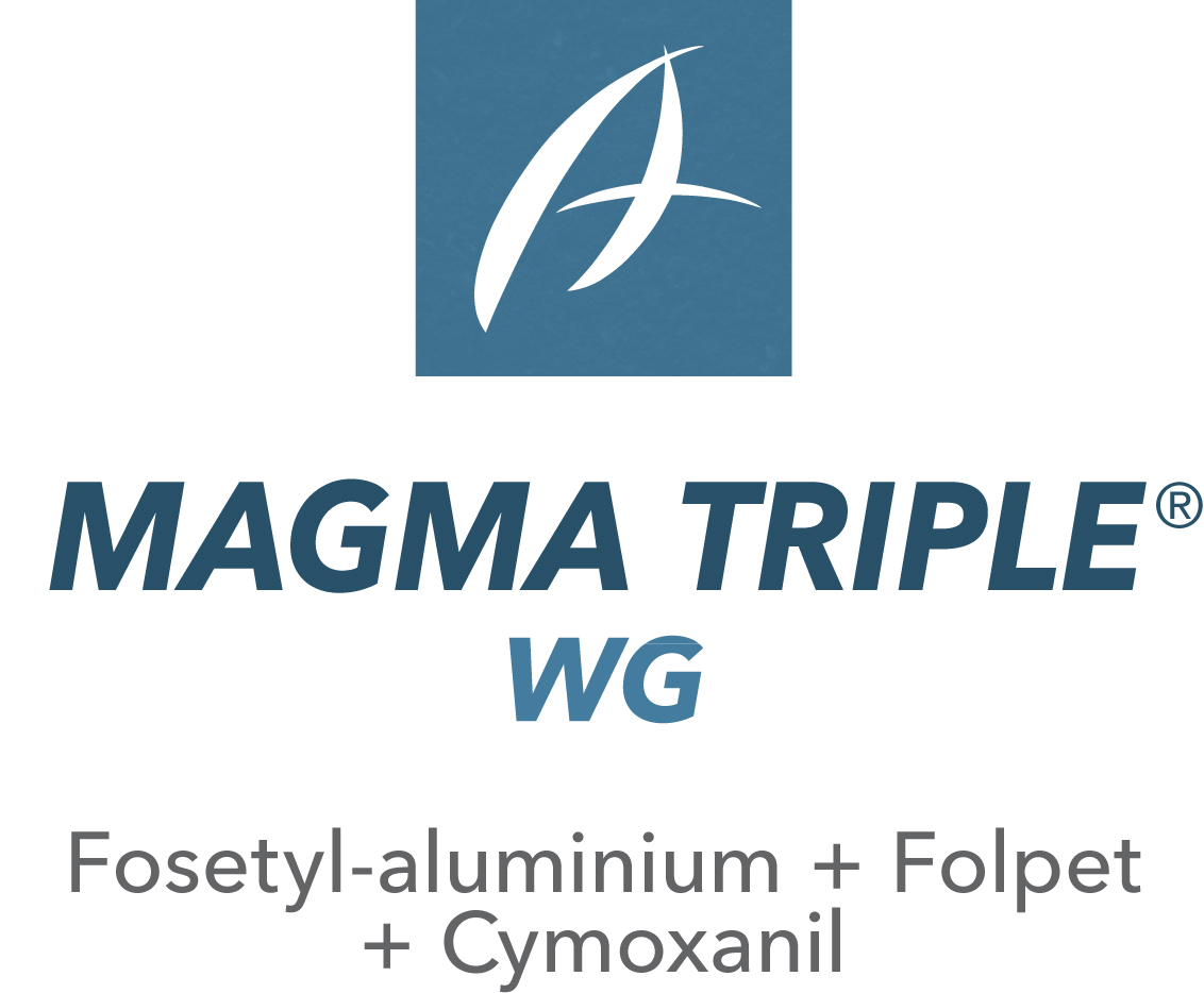 Magma Triple® WG
