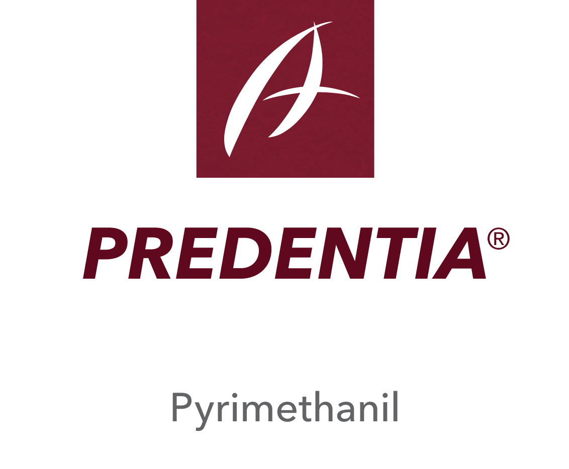 Predentia®