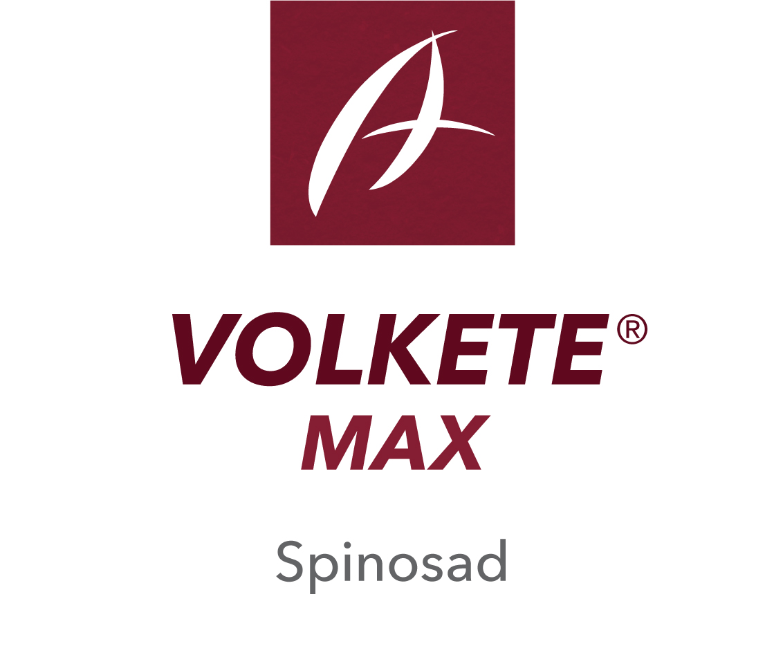 Volkete® Max