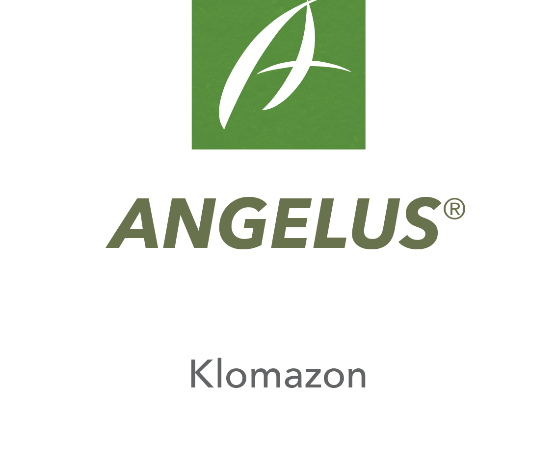 Angelus