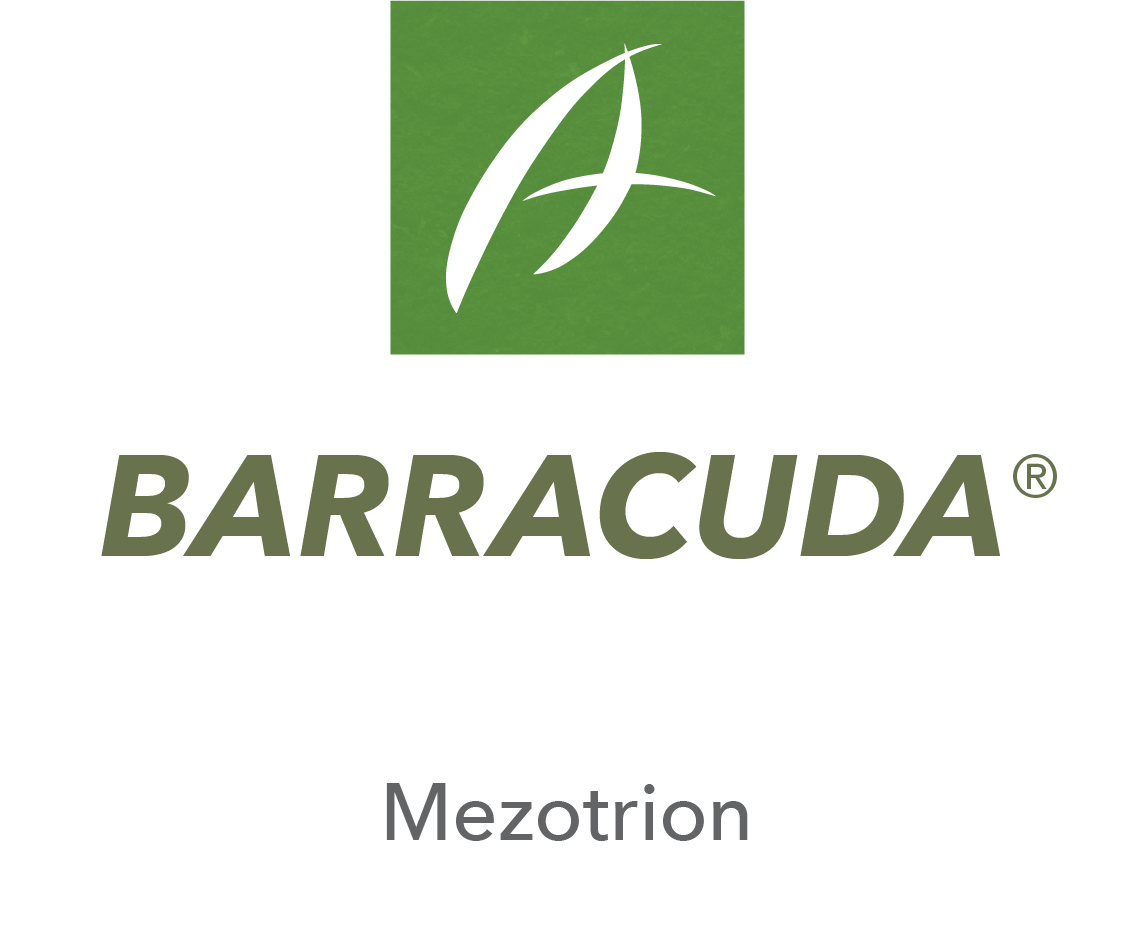 Barracuda®