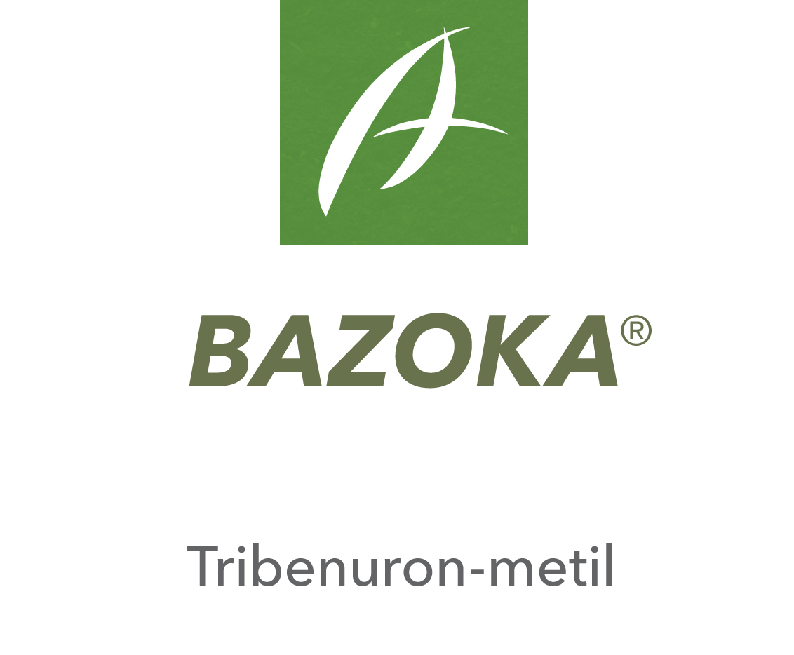 Bazoka®
