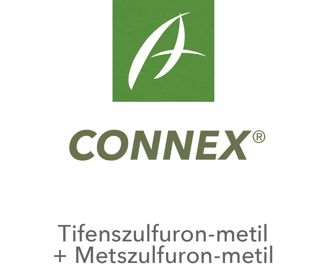 Connex®