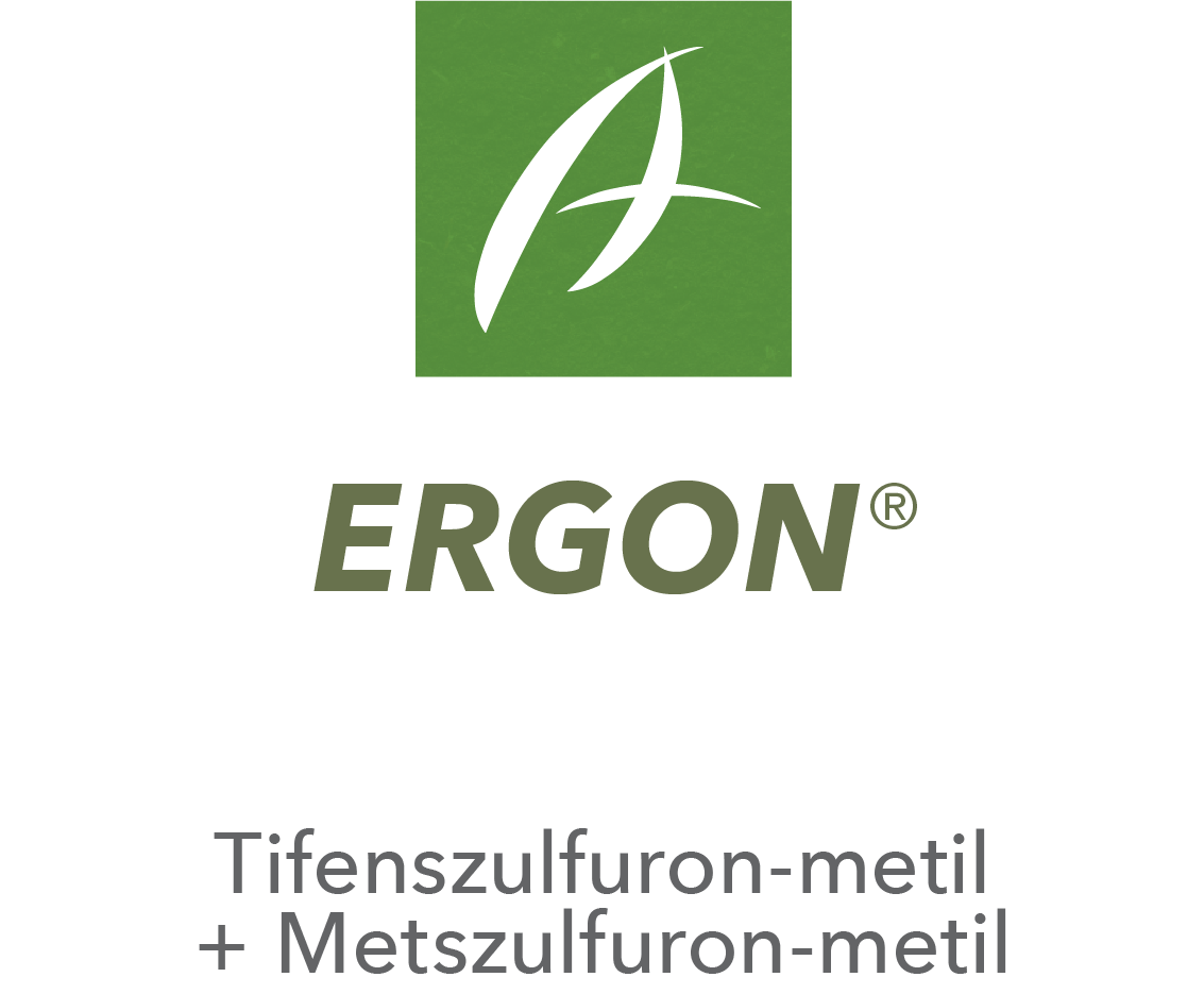 Ergon®