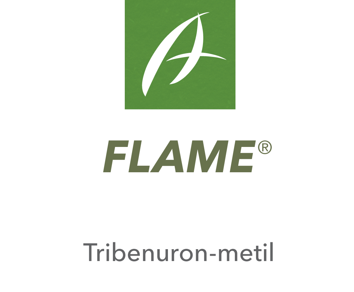 Flame®