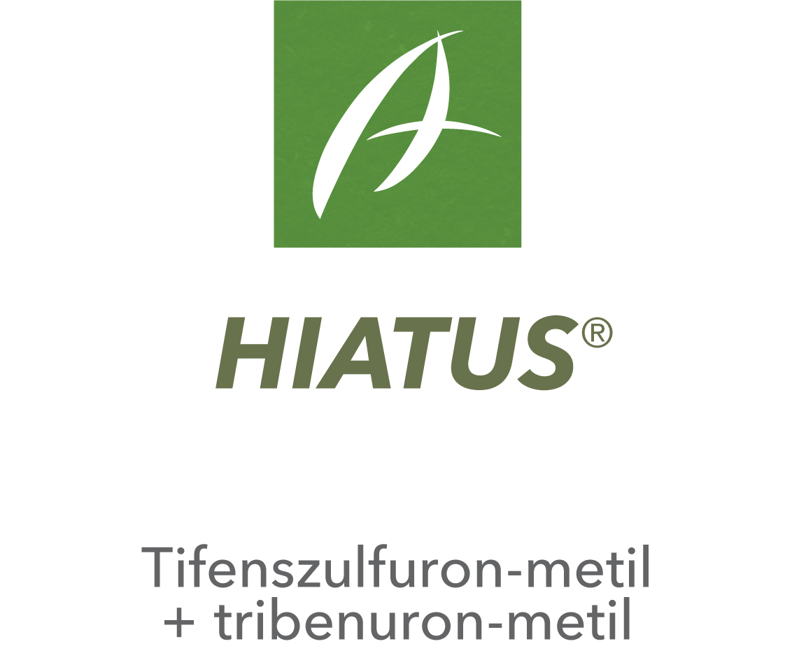 Hiatus®