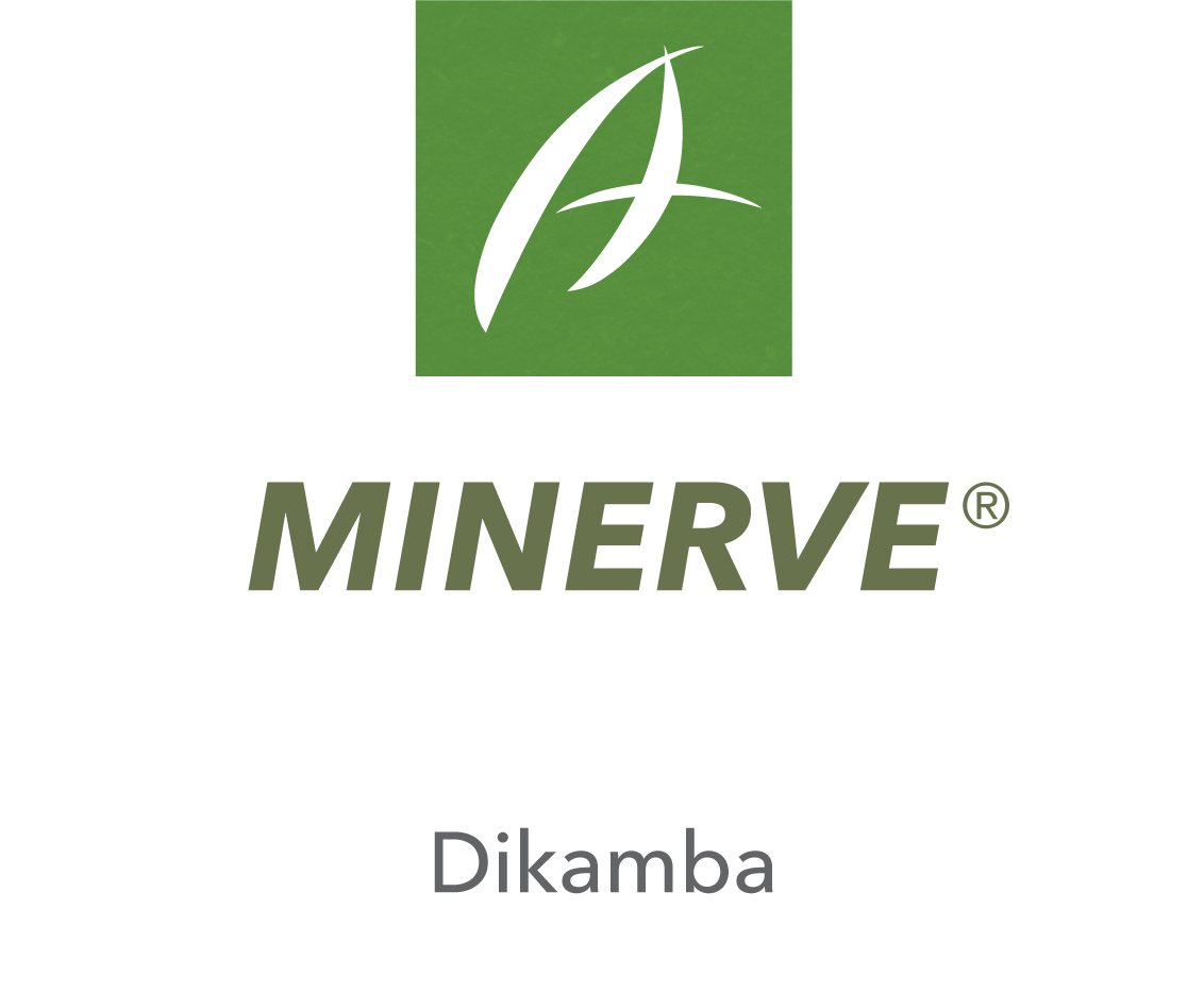 Minerve®