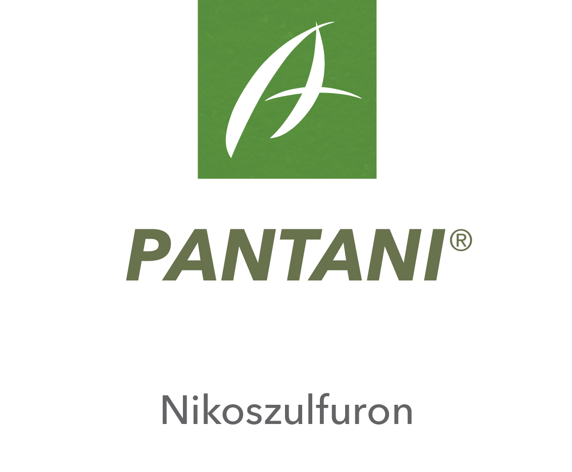 Pantani®