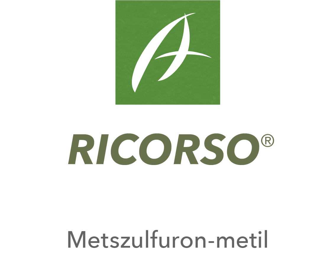 Ricorso®
