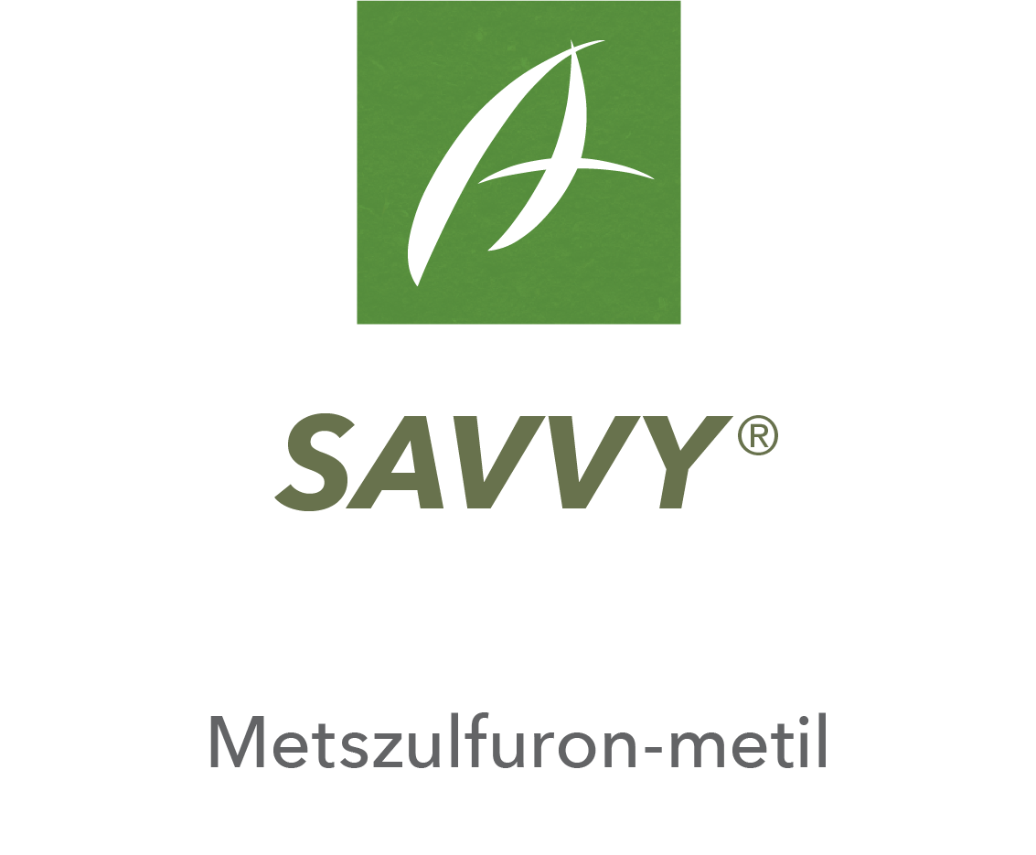 Savvy®