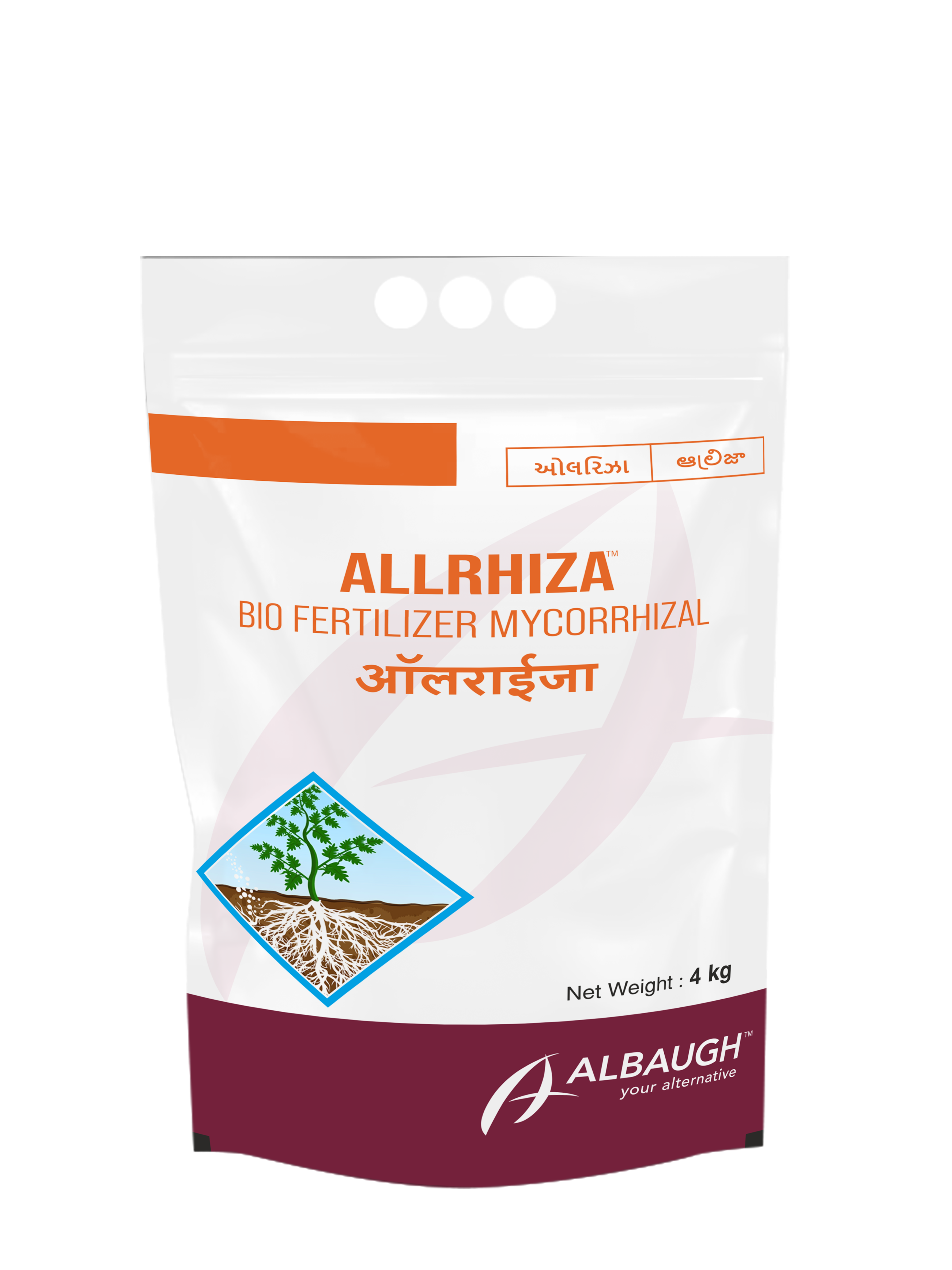 ALLRHIZA: Mycorrhiza Gr