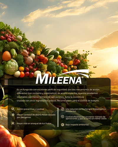 Albaugh Protección de cultivos - MILEENA