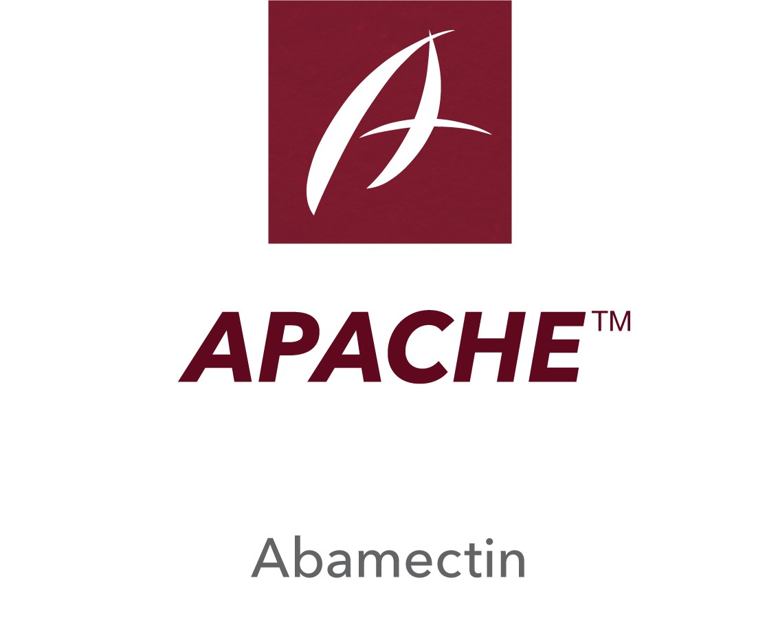 Apache™