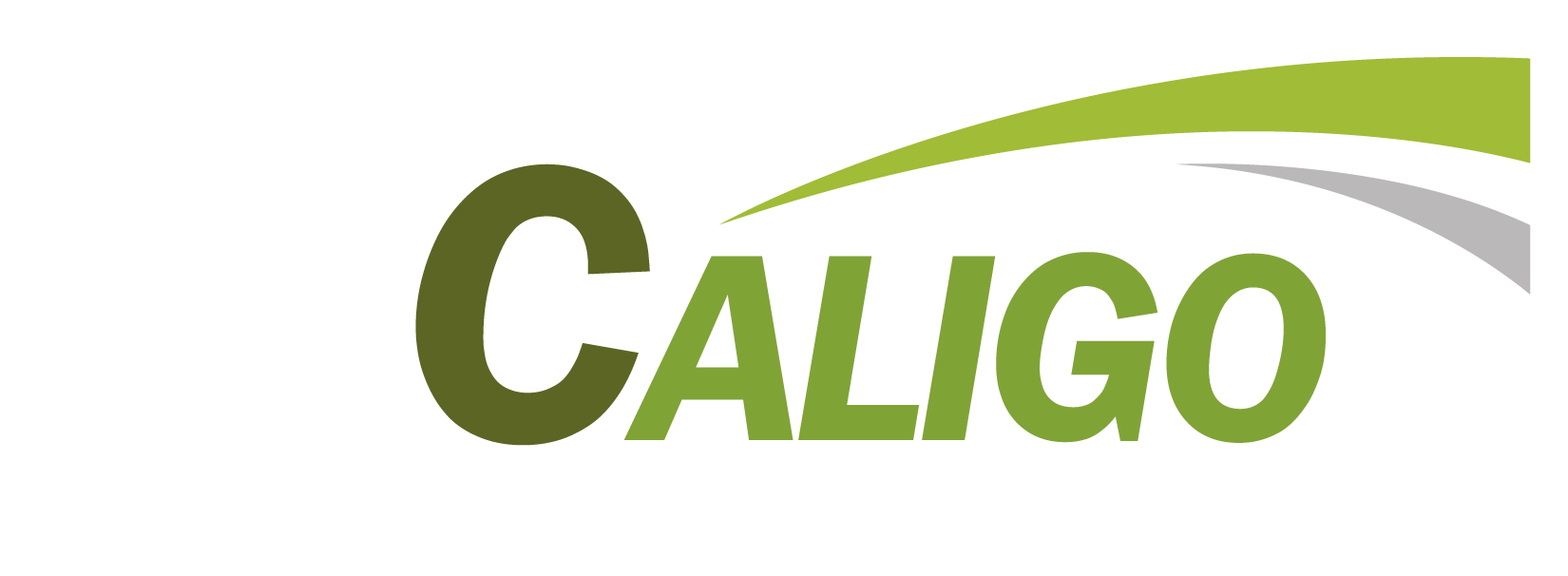 CALIGO® 100 EC