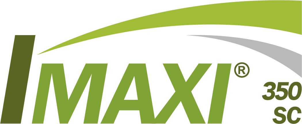 IMAXI® 350 SC