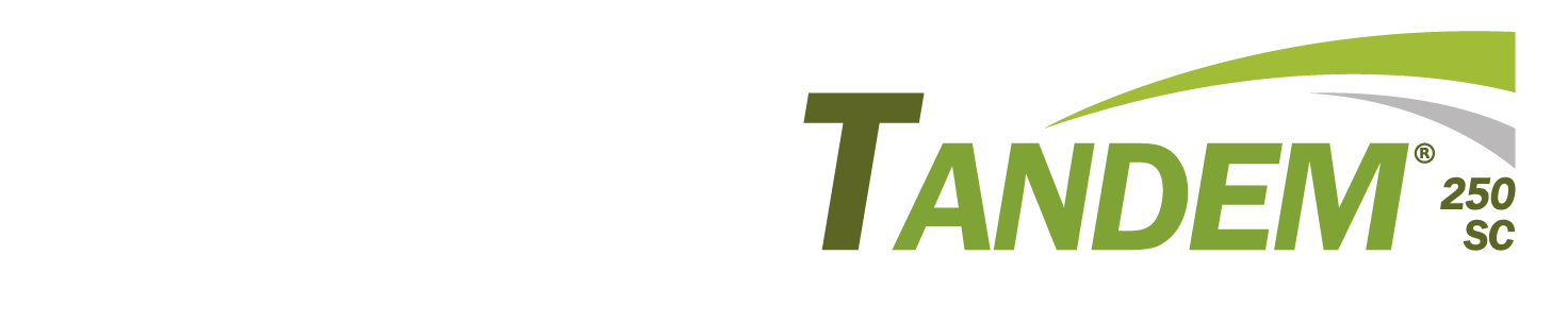 Tandem 250 SC