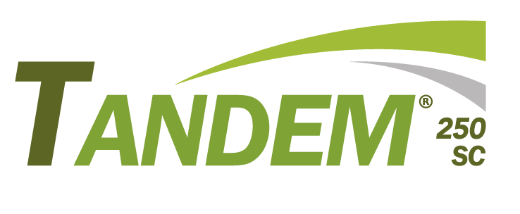 Tandem 250 SC