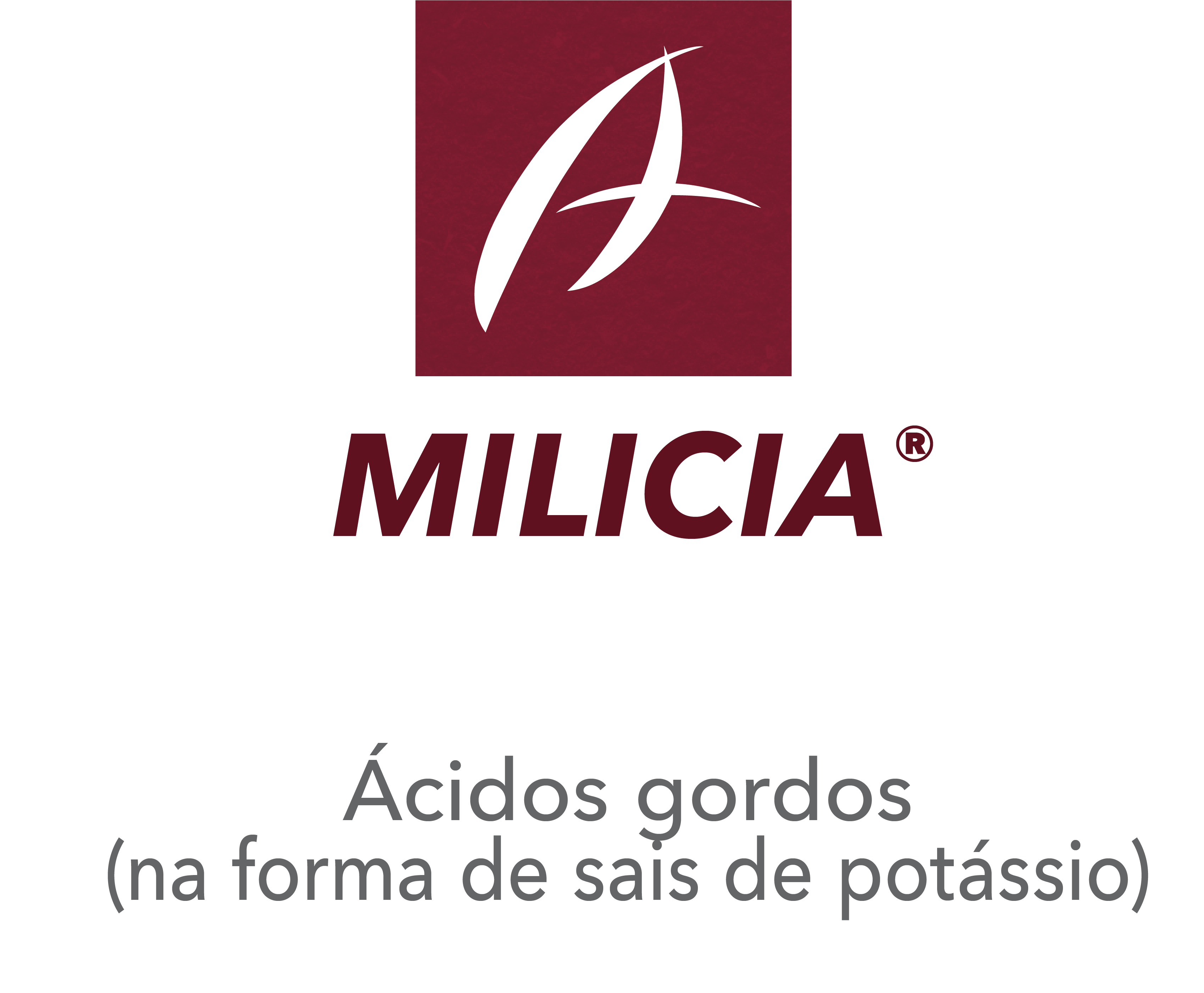 Milicia