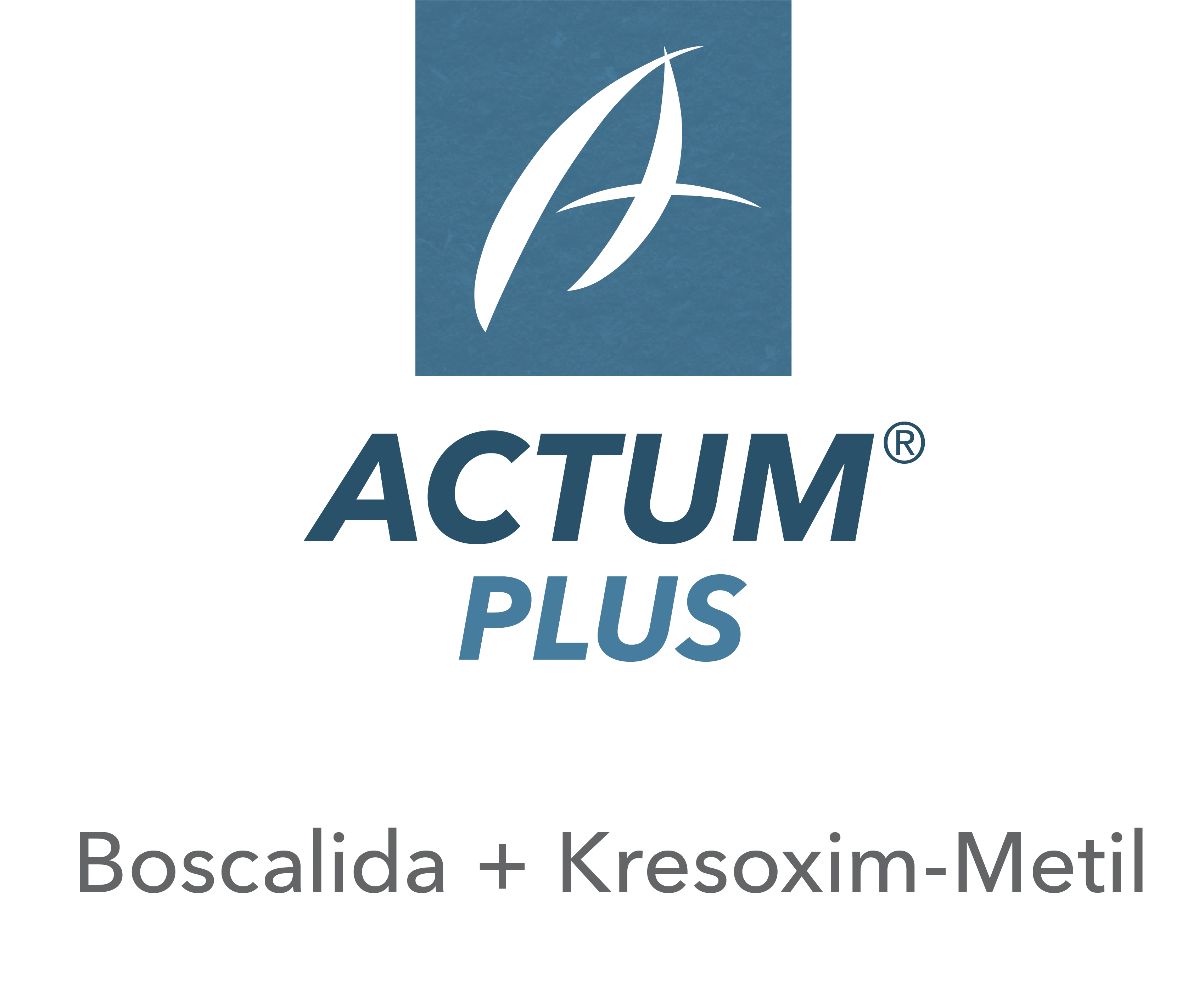 Actum® Plus