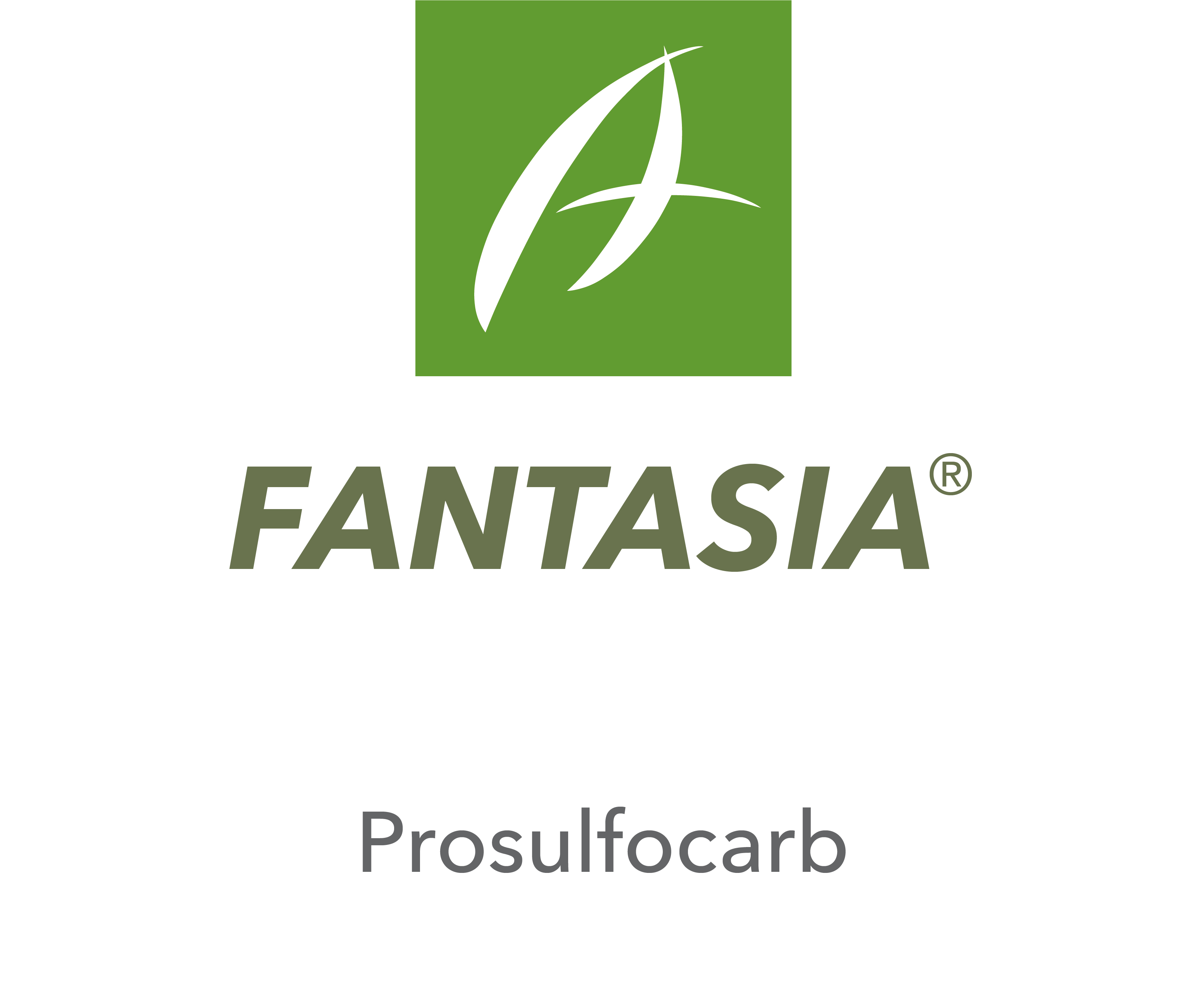Fantasia®
