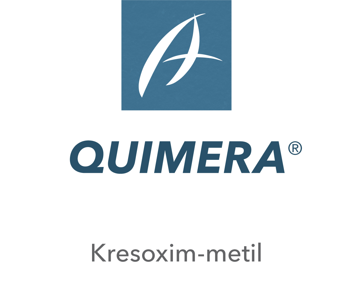 Quimera