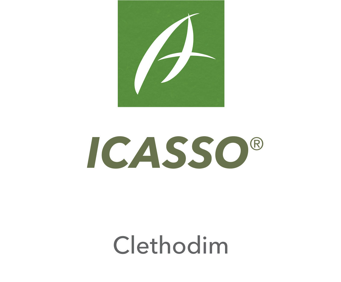 Icasso®