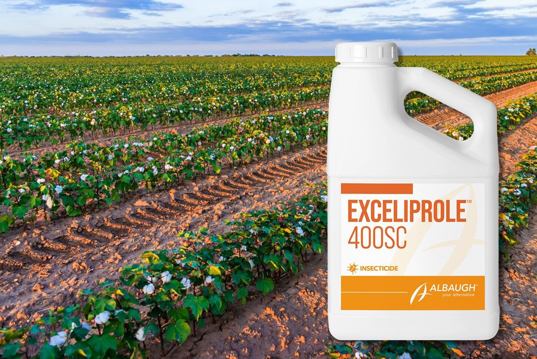Exceliprole Details Image