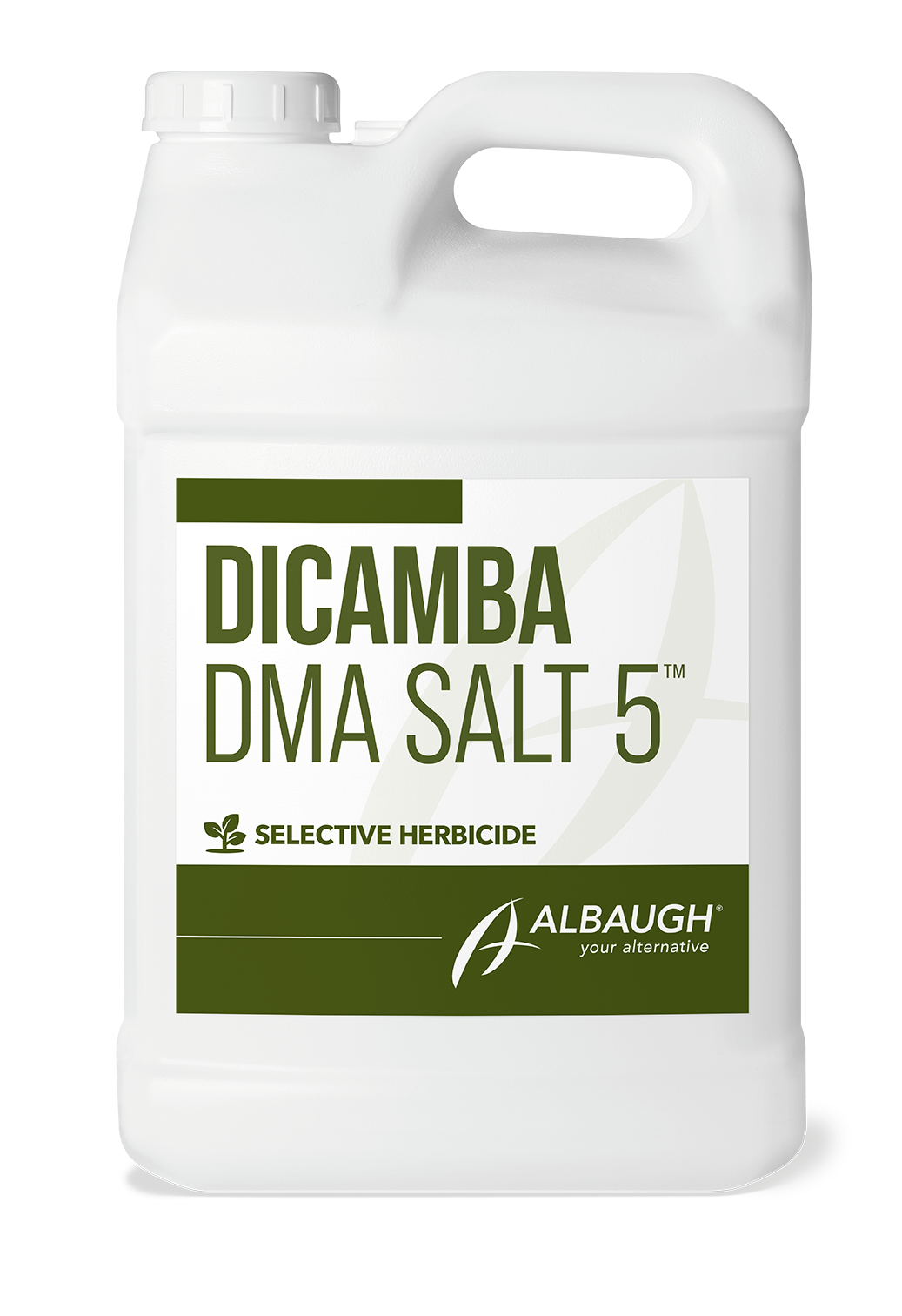 Dicamba DMA Salt 5